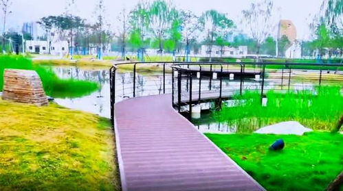 游覽武漢城區(qū)一座魚主題公園 面積超10個(gè)球場,地下還有巨型工廠