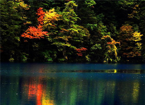 五彩藏區(qū) 四川網絡廣播電視臺