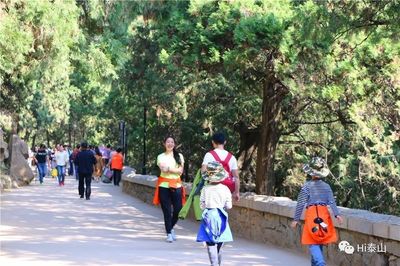 數據 | 客流分析研判:8天假期泰山游客或將增加5%,泰山人已準備好!_財經_網