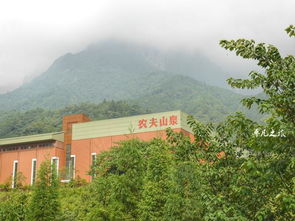 隱藏在5a景區(qū)里的飲料廠,幾乎沒(méi)有人沒(méi)喝過(guò)他們的產(chǎn)品