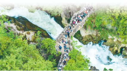 以園區為支點，精準服務與融入新發展格局